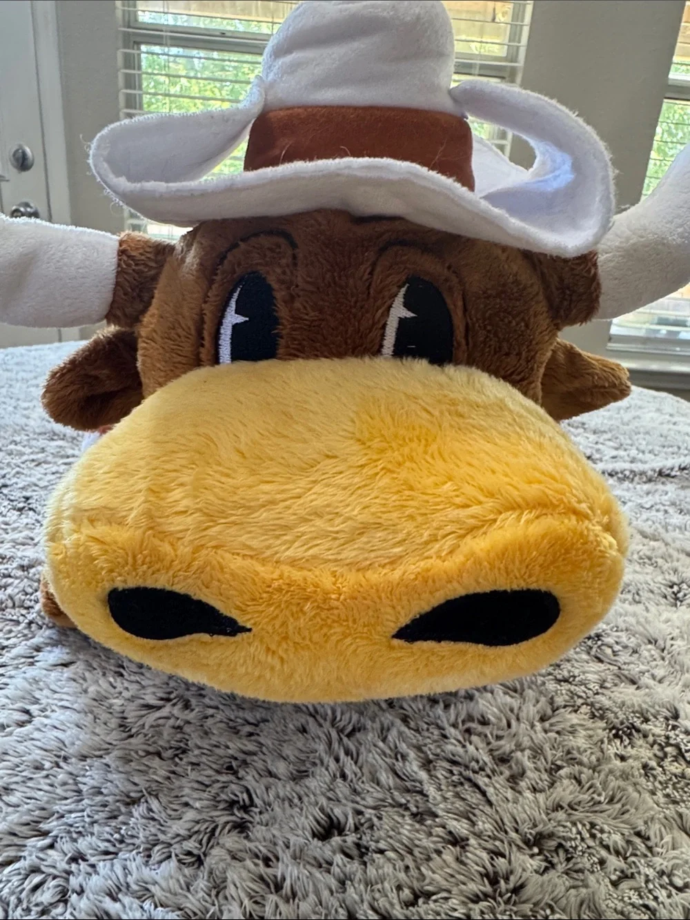 University of Texas Longhorns Plush Pillow Pet Bevo School Mascot NCAA Dorm Room